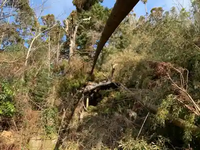 市井神社のその他建物