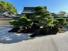 東寺（教王護国寺）の庭園