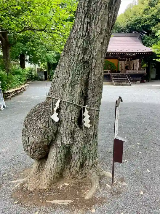 七社神社(東京都)