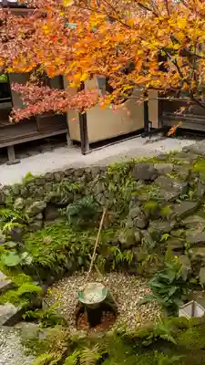 興聖寺(京都府)