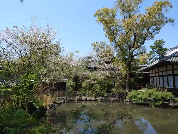 住吉大社(大阪府)