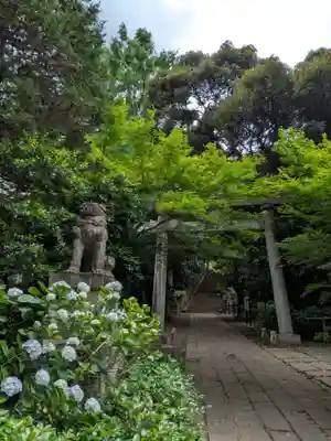 赤坂氷川神社(東京都)