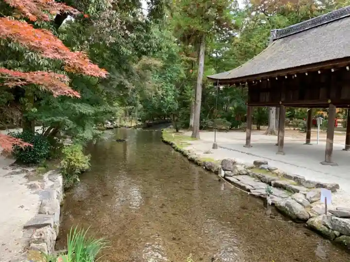 賀茂別雷神社(上賀茂神社)の景色