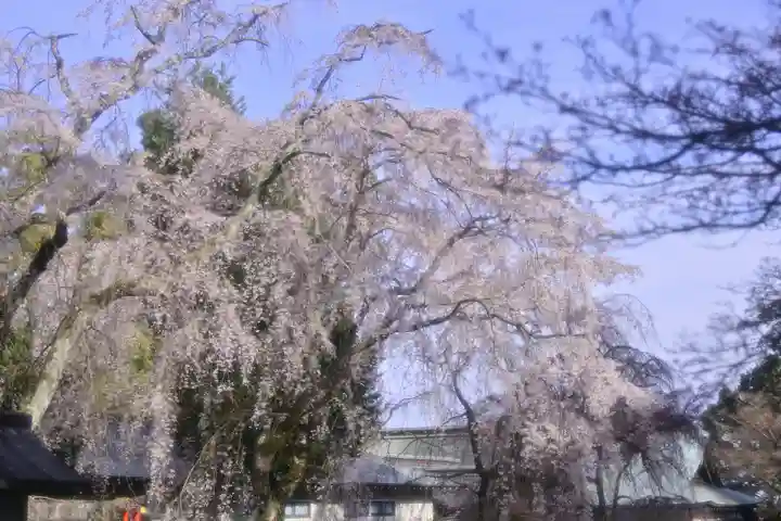 伊豆山神社(静岡県)