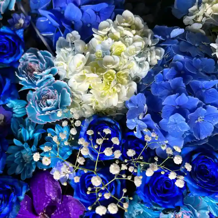 札幌諏訪神社の手水舎