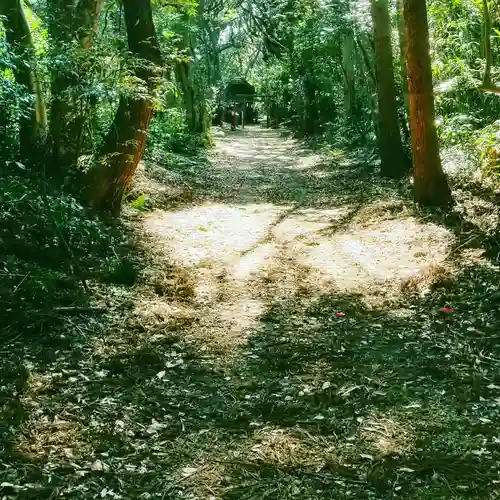 沼尾神社の自然