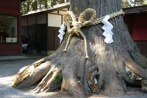 北口本宮冨士浅間神社(山梨県)