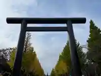 靖國神社の鳥居