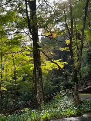 大矢田神社(岐阜県)