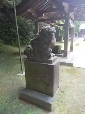 富岡八幡宮の狛犬