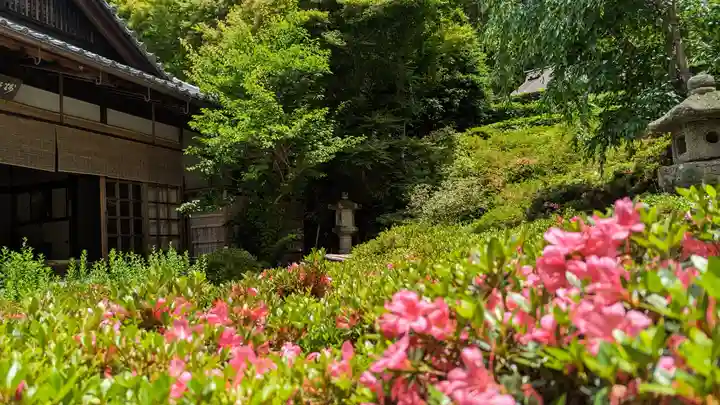 金福寺(京都府)