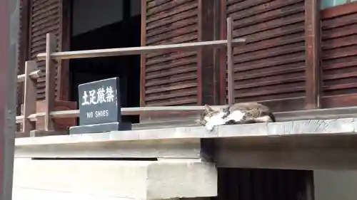 佛日庵の本殿・本堂