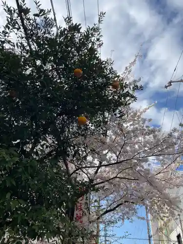 稲荷神社(兵庫県)