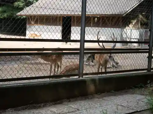 鹿島神宮(茨城県)