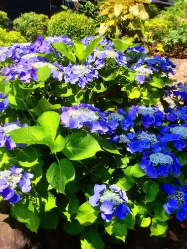 光明院(東京都)