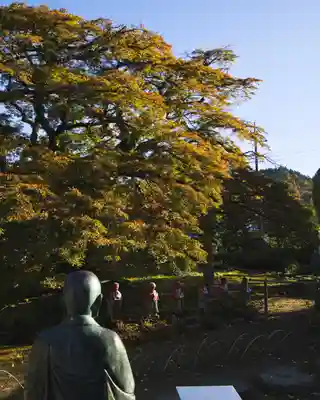 西善寺(埼玉県)