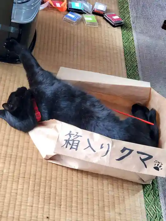 高司神社〜むすびの神の鎮まる社〜(福島県)