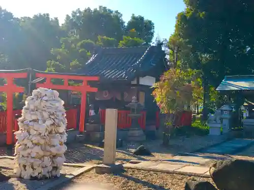 姫嶋神社の狛犬