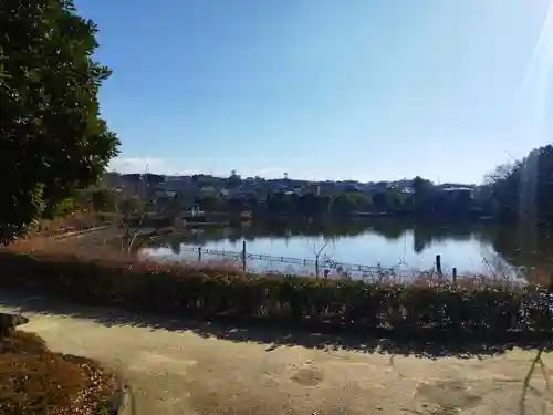 アマセミ神社(大阪府)