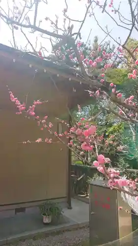 六所神社の自然