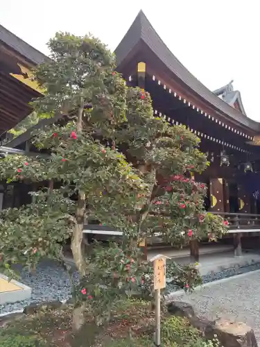 大神神社の{uncategorized: "未分類", other: "その他", undefined: "問題あり", building: "その他建物", grave: "お墓", sacred_gate: "鳥居", guardian: "狛犬", statue: "像", buddha: "仏像", history: "歴史", nature: "自然", garden: "庭園", animal: "動物", pagoda: "塔", temizu: "手水舎", mountain_gate: "山門・神門", sanctuary: "本殿・本堂", subordinate: "末社・摂社", art: "芸術", scenery: "景色", jizo: "地蔵", ema: "絵馬", goshuin: "御朱印", omikuji: "おみくじ", items: "授与品その他", amulet: "お守り", goshuincho: "御朱印帳", eats: "食事", festival: "お祭り", votive_dance: "神楽", shichigosan: "七五三参", wedding: "結婚式", experience: "体験その他", initially: "初詣", around: "周辺", anti_infection: "感染症対策"}