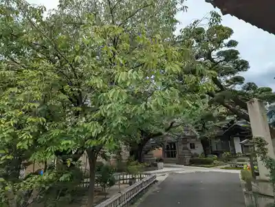 墨染寺（桜寺）(京都府)