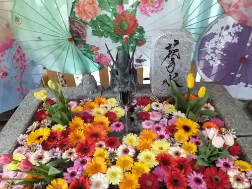 札幌諏訪神社の手水舎