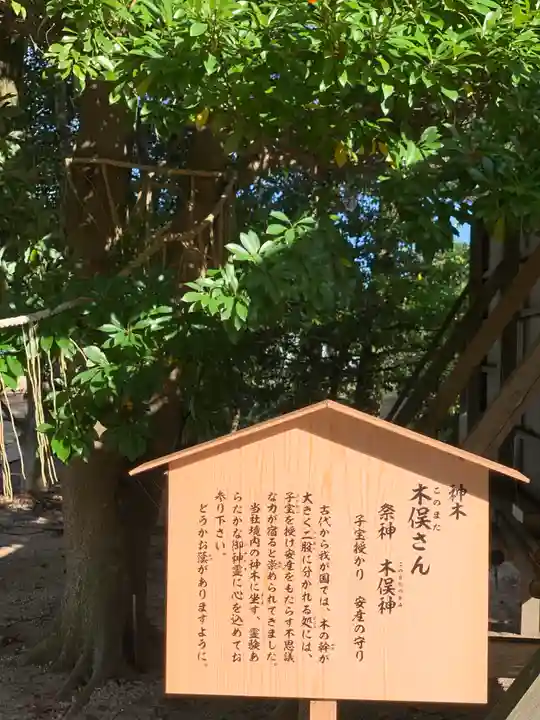 万九千社(島根県)