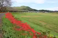 金刀比羅神社の周辺