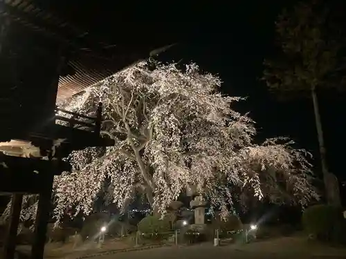 長谷寺(長野県)