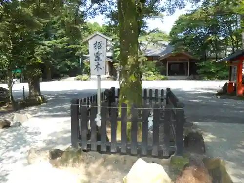 霧島神宮(鹿児島県)