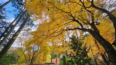寂光院(京都府)