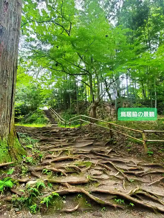 白山神社(岩手県)