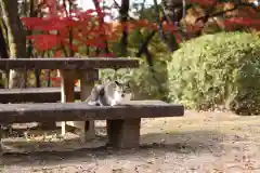 玉野御嶽神社(愛知県)