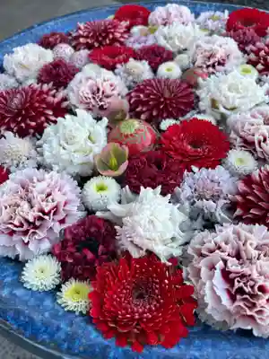 行田八幡神社(埼玉県)