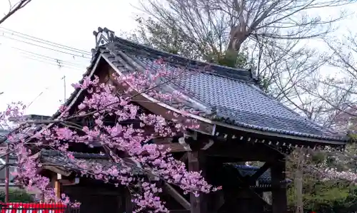 平野神社(京都府)