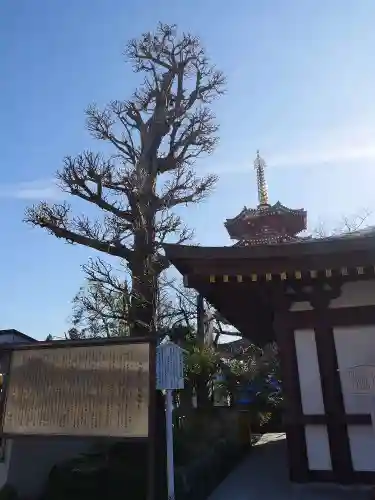 川崎大師（平間寺）の自然
