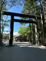 北海道神宮の鳥居