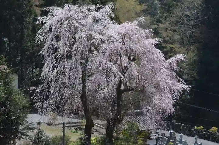 久遠寺(山梨県)