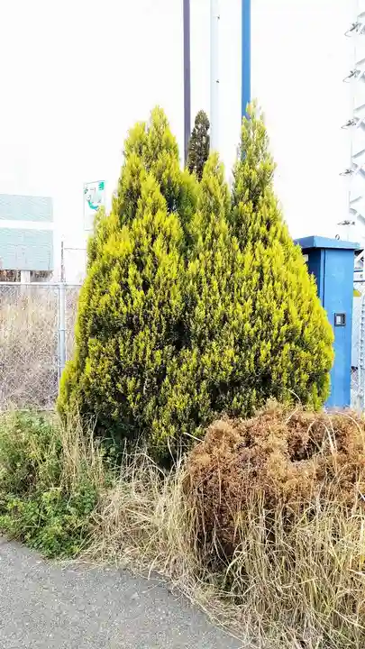 今井神社の周辺