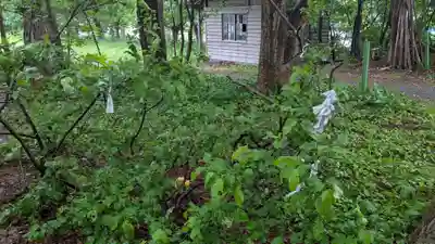 留萌神社のおみくじ