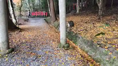 出雲大神宮(京都府)