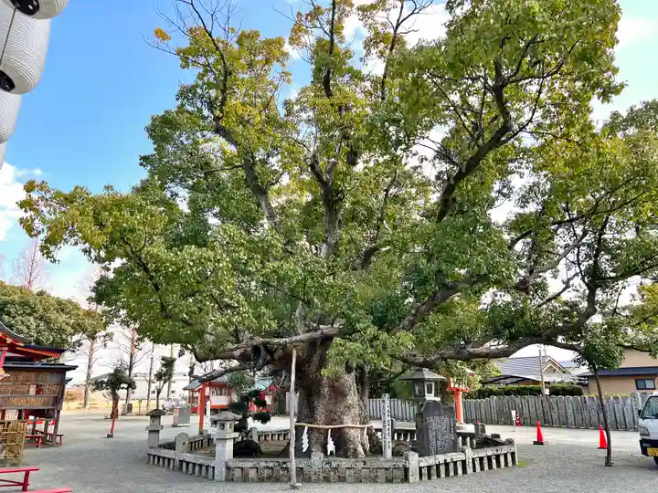 風浪宮(福岡県)