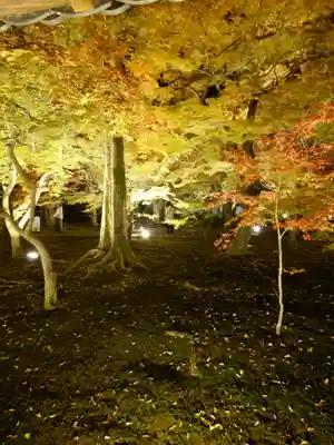 東福禅寺(東福寺)(京都府)