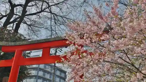 平野神社の鳥居