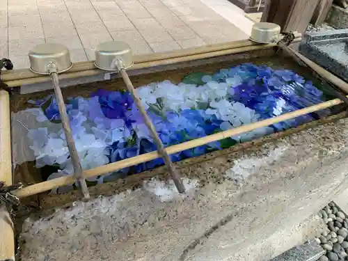 日蓮宗　浄運寺の手水