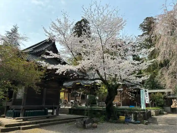 雄琴神社(栃木県)