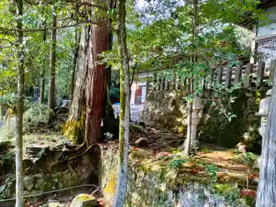 敢國神社のその他建物