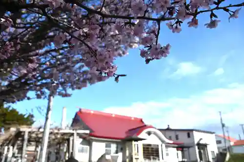 宝光寺の庭園