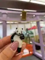 メノコト神社(京都府)